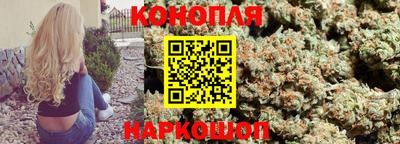 spice Абакан
