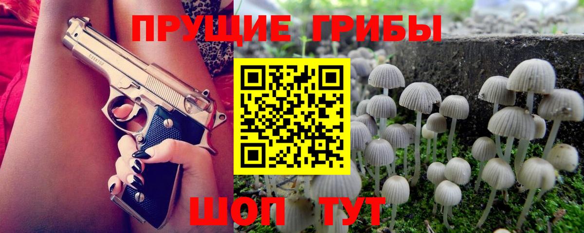 купить закладку  Вход с VPN  Галлюциногенные грибы мицелий  Алейск  Псилоцибиновые грибы GOLDEN TEACHER 